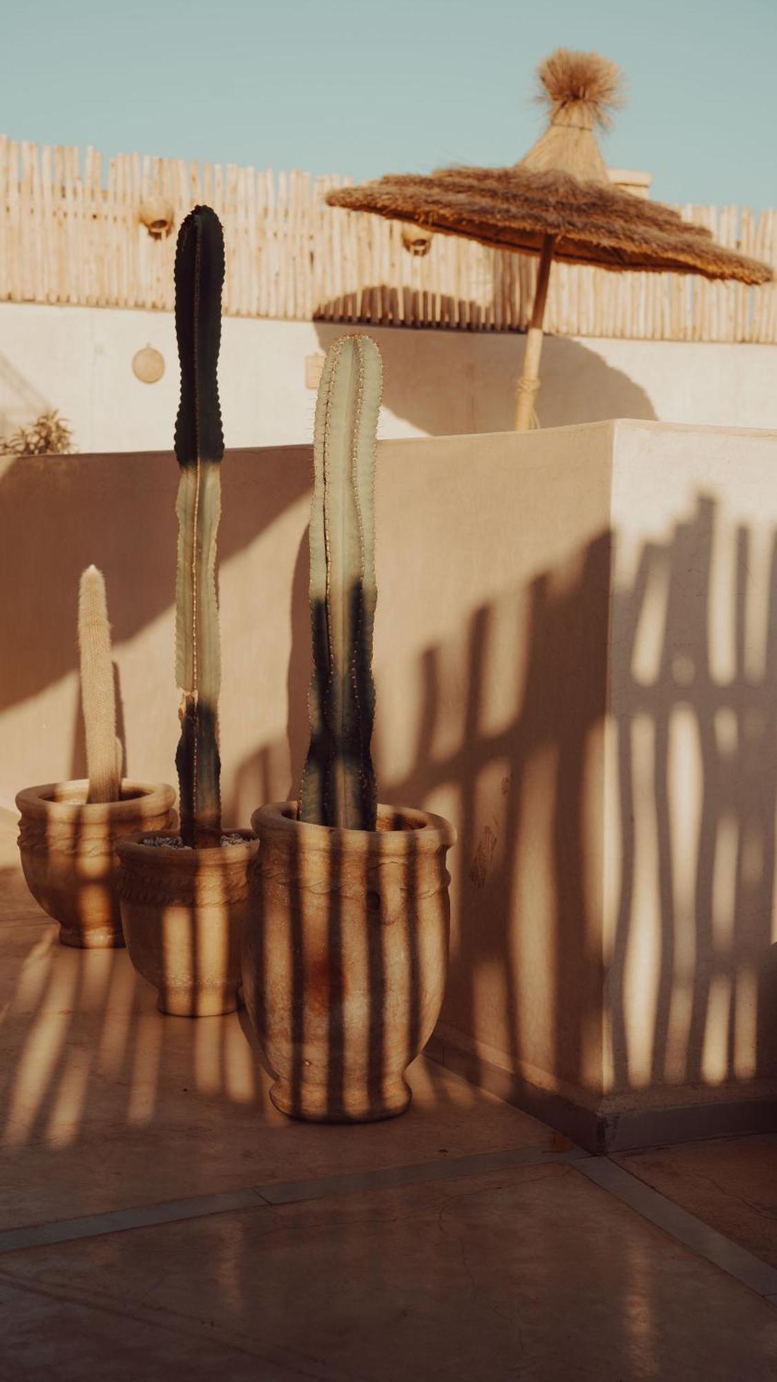 Soulmate Guest house Marrakesh